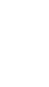Il Leone Coraggioso